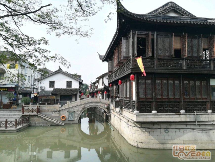 小猫钓鱼正版下载中文版